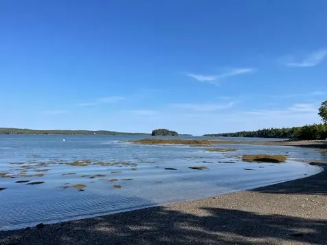 Lot #139 Duck Cove Road Roque Bluffs ME 04654