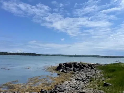 Lot #139 Duck Cove Road Roque Bluffs ME 04654