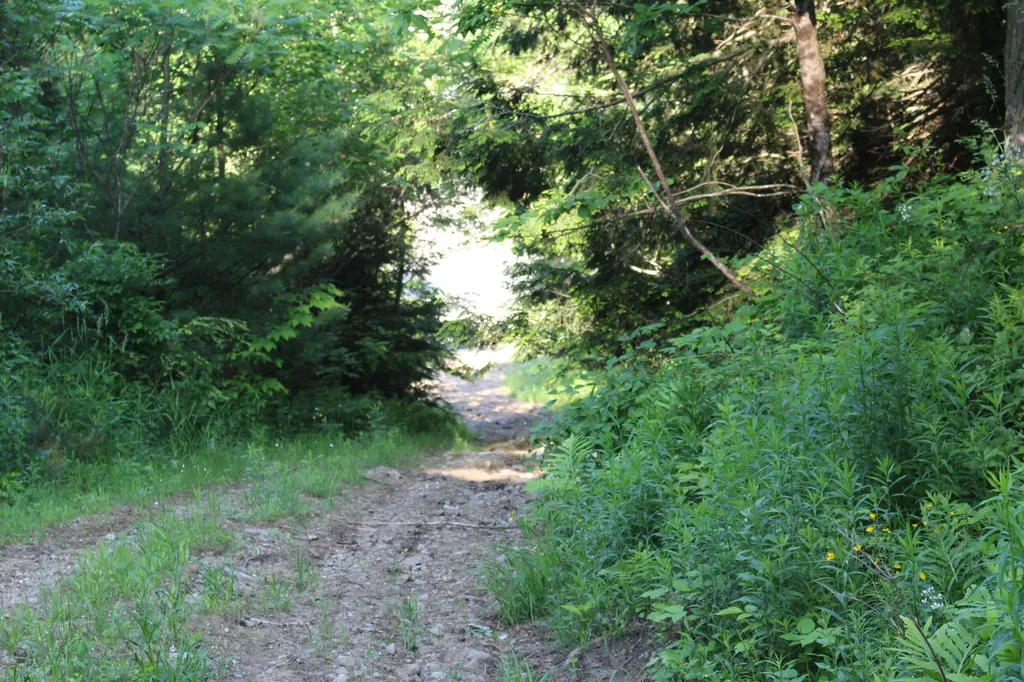 76 Bethel Road West Paris ME 04289