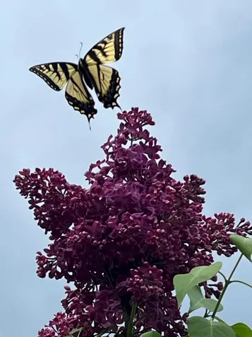 227 Back Road Skowhegan ME 04976