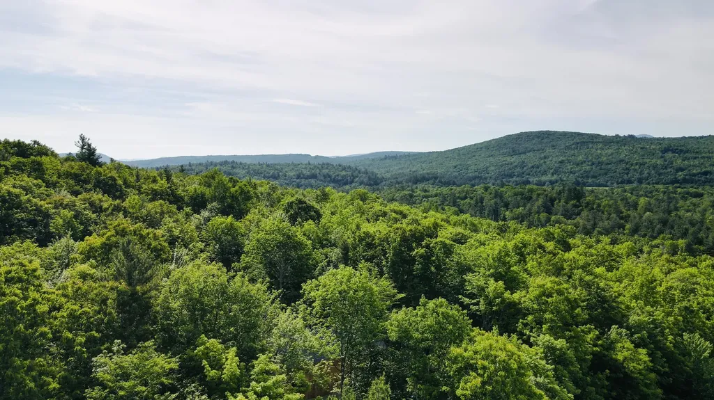 Lot #4 Mooseley Ridge Road Phillips ME 04970