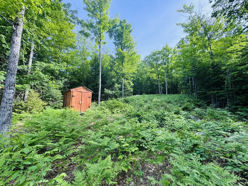 Lot #4 Mooseley Ridge Road Phillips ME 04970