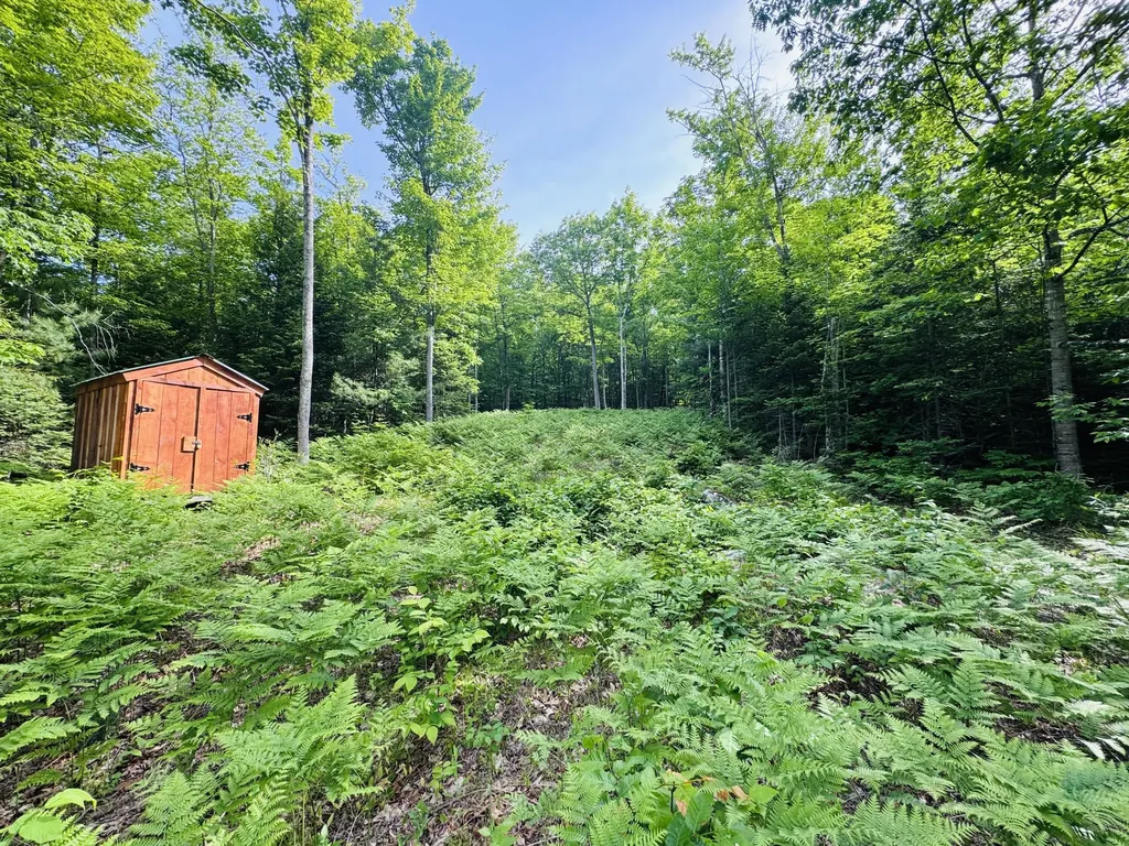 Lot #4 Mooseley Ridge Road Phillips ME 04970