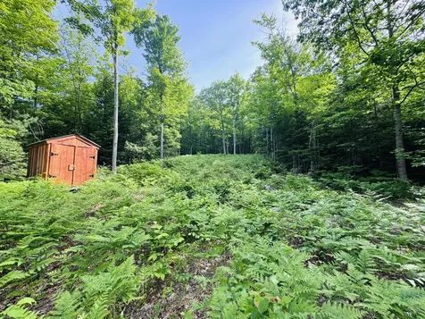 Lot #4 Mooseley Ridge Road Phillips ME 04970
