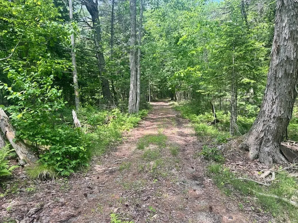 050-C-1 W Waldo Road Belfast ME 04915