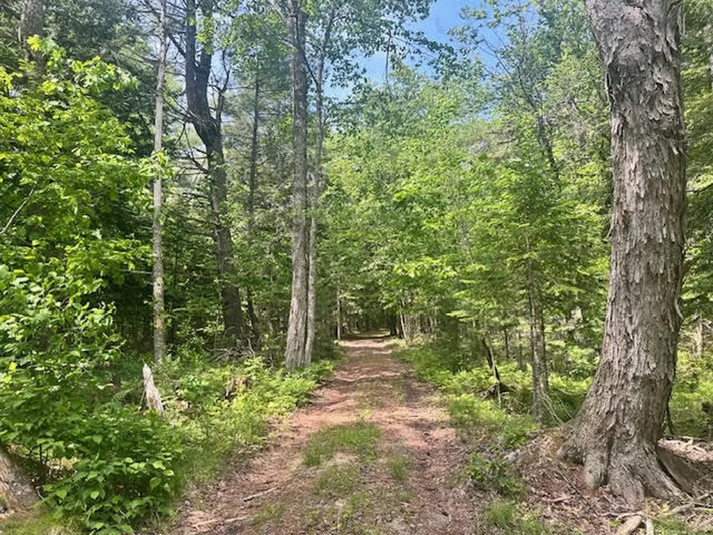 050-C-1 W Waldo Road Belfast ME 04915