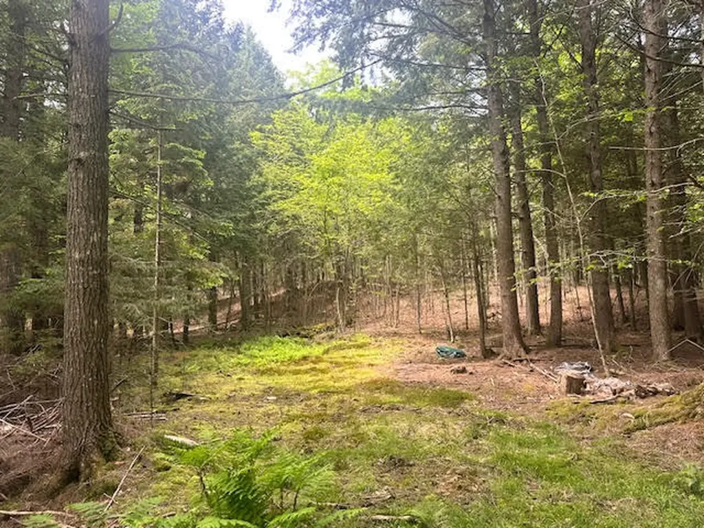 050-C-1 W Waldo Road Belfast ME 04915