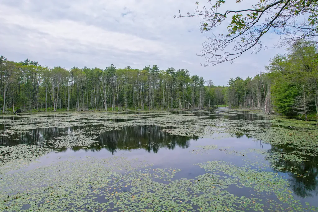 511 Main Road Phippsburg ME 04562