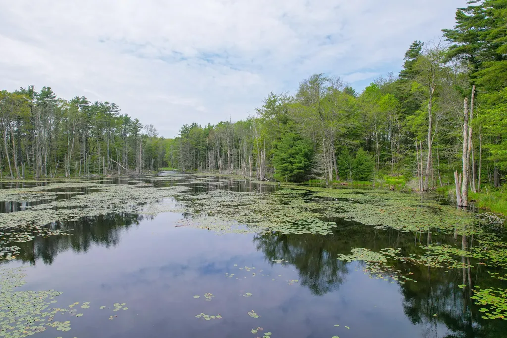 511 Main Road Phippsburg ME 04562