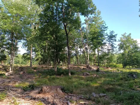 95 Walnut Hill Road Shapleigh ME 04076