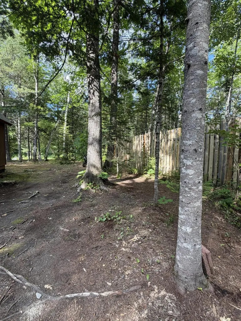 6 Maple Drive Abbot ME 04406
