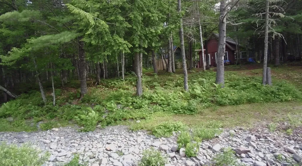 6 Maple Drive Abbot ME 04406
