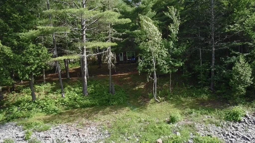 6 Maple Drive Abbot ME 04406