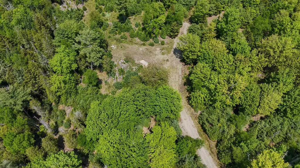 Lot 6b Asa's Lane Lamoine ME 04605