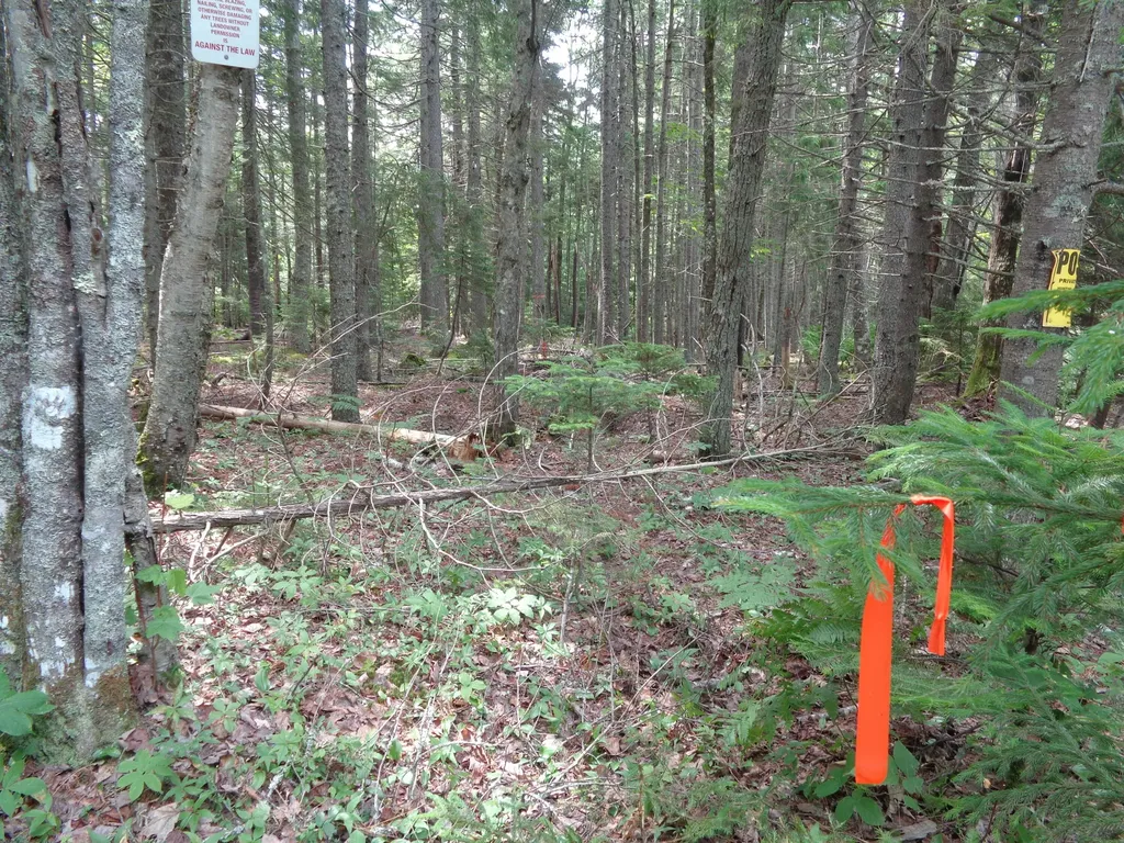 Lot 6b Asa's Lane Lamoine ME 04605