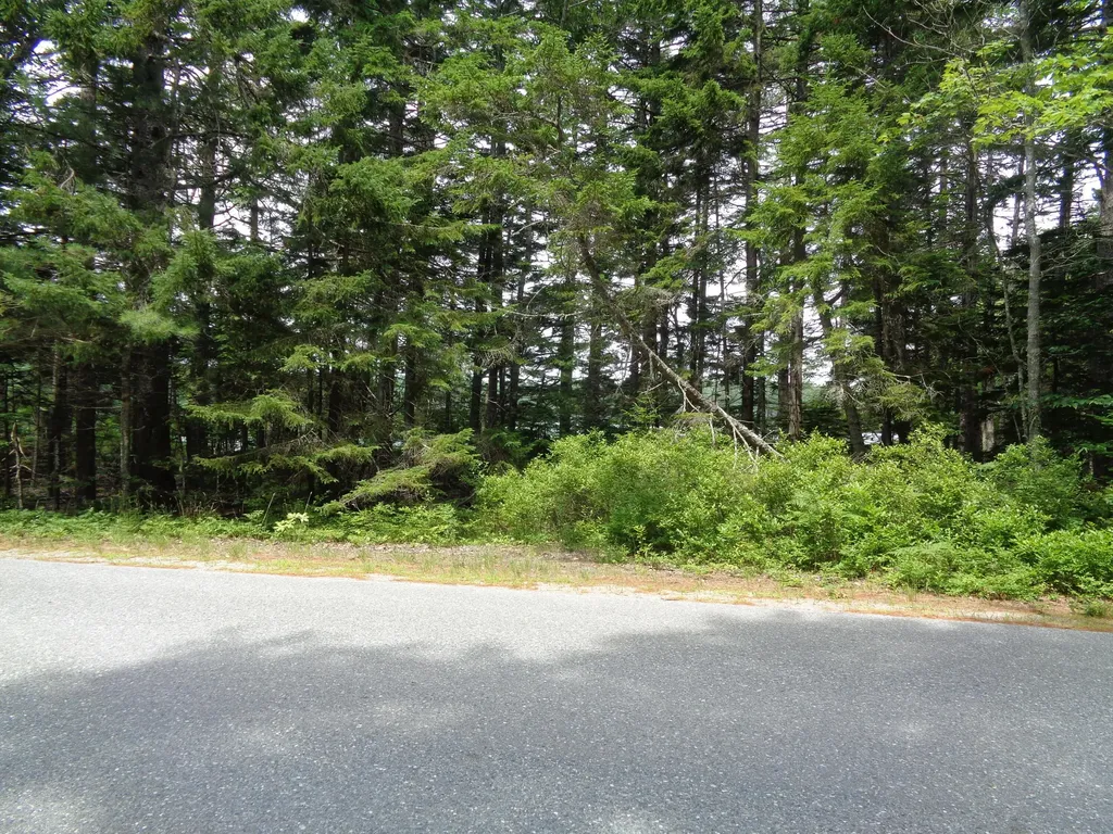 Lot 6b Asa's Lane Lamoine ME 04605