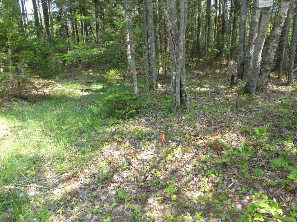 Lot 6b Asa's Lane Lamoine ME 04605