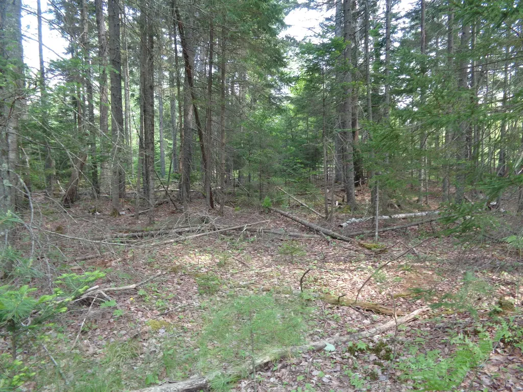 Lot 6b Asa's Lane Lamoine ME 04605
