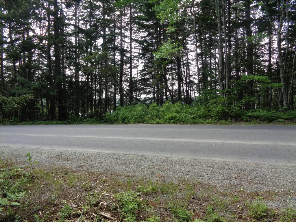 Lot 6b Asa's Lane Lamoine ME 04605