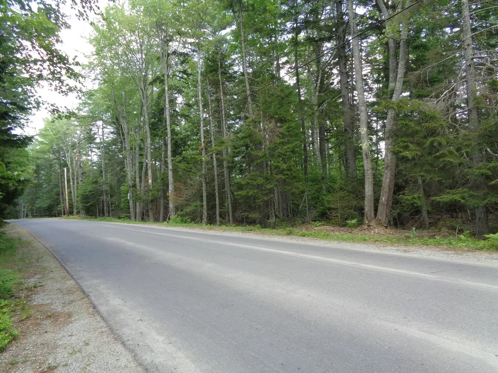 Lot 6b Asa's Lane Lamoine ME 04605