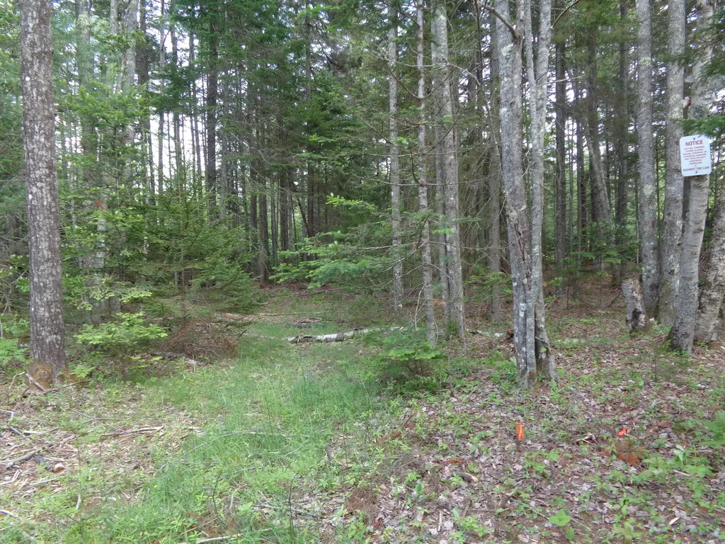 Lot 6b Asa's Lane Lamoine ME 04605