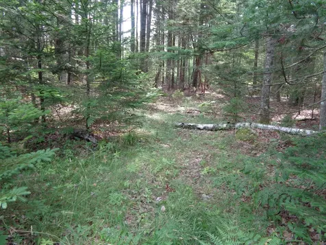 Lot 6b Asa's Lane Lamoine ME 04605