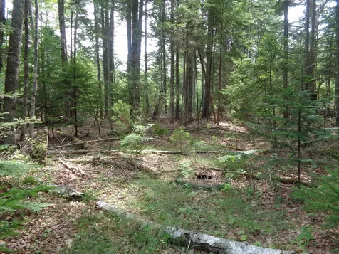 Lot 6b Asa's Lane Lamoine ME 04605