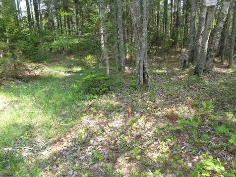 Lot 6b Asa's Lane Lamoine ME 04605