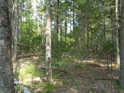 Lot 6b Asa's Lane Lamoine ME 04605