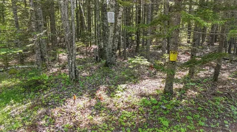 Lot 6b Asa's Lane Lamoine ME 04605