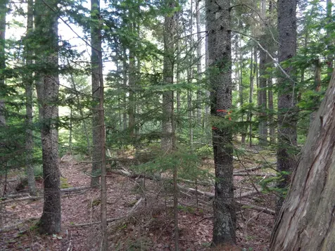 Lot 6b Asa's Lane Lamoine ME 04605