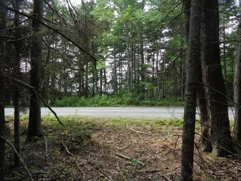 Lot 6b Asa's Lane Lamoine ME 04605