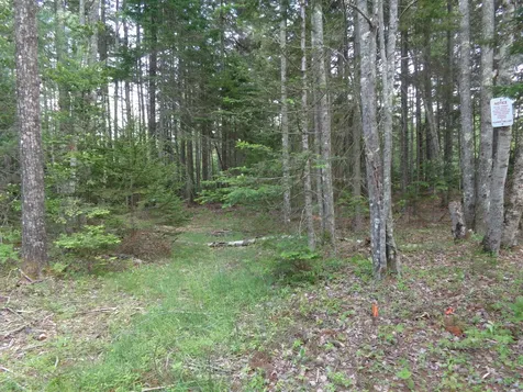 Lot 6b Asa's Lane Lamoine ME 04605