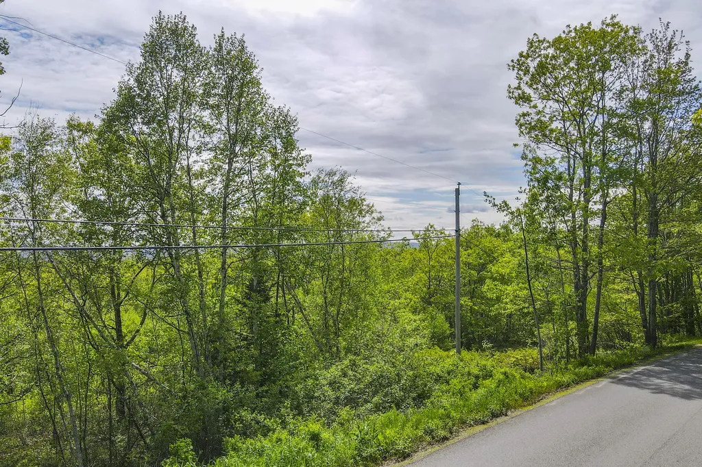 L46 (Part) Beech Hill Road Northport ME 04849