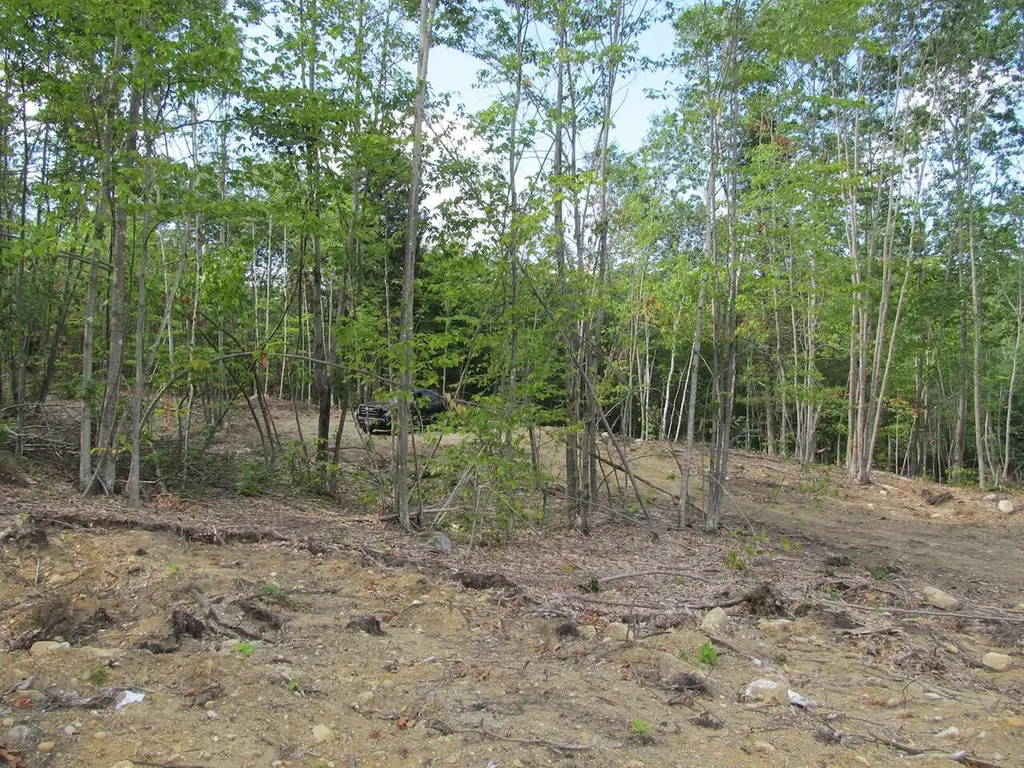 6.46 End Mcallister Road Buckfield ME 04220