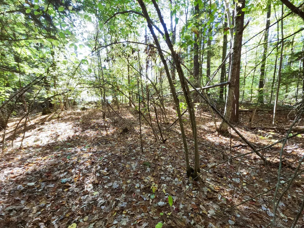 61 Meade Lane Bridgton ME 04009