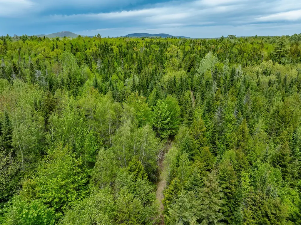 54 Emerson Preble Road Sullivan ME 04664