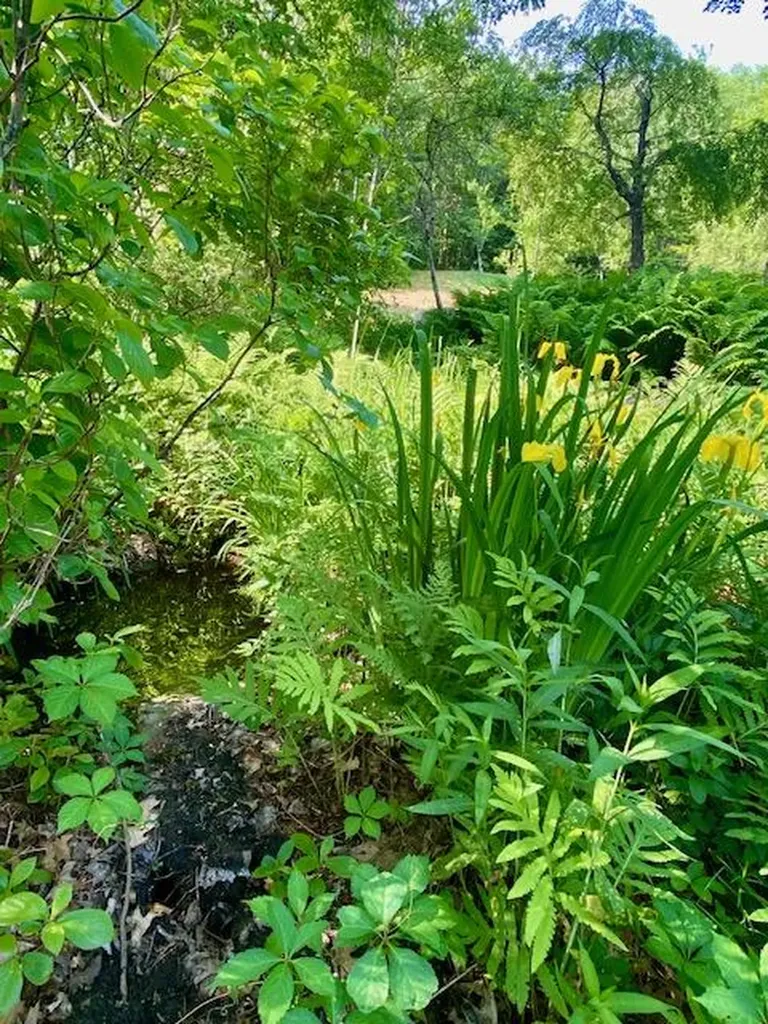 186 Bridgton Road Sebago ME 04029