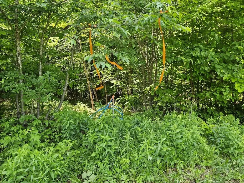 645 Kimball Pond Road New Sharon ME 04955