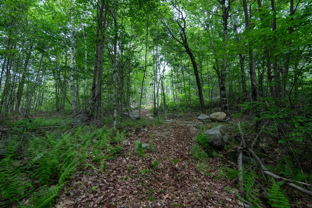 3 Salmon Point Lane Enfield ME 04493