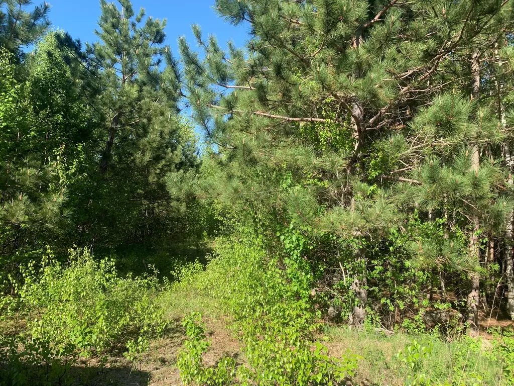 Lot 24 Grand View Drive Dedham ME 04429