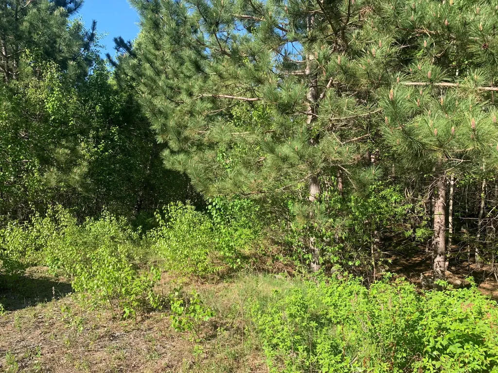 Lot 24 Grand View Drive Dedham ME 04429