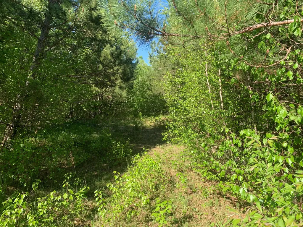 Lot 24 Grand View Drive Dedham ME 04429