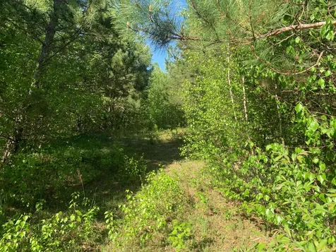 Lot 24 Grand View Drive Dedham ME 04429