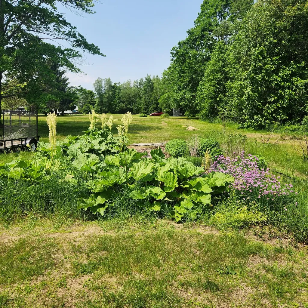 485 Main Road Passadumkeag ME 04475