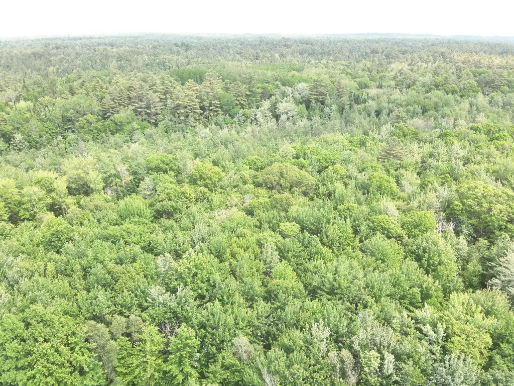 485 Main Road Passadumkeag ME 04475