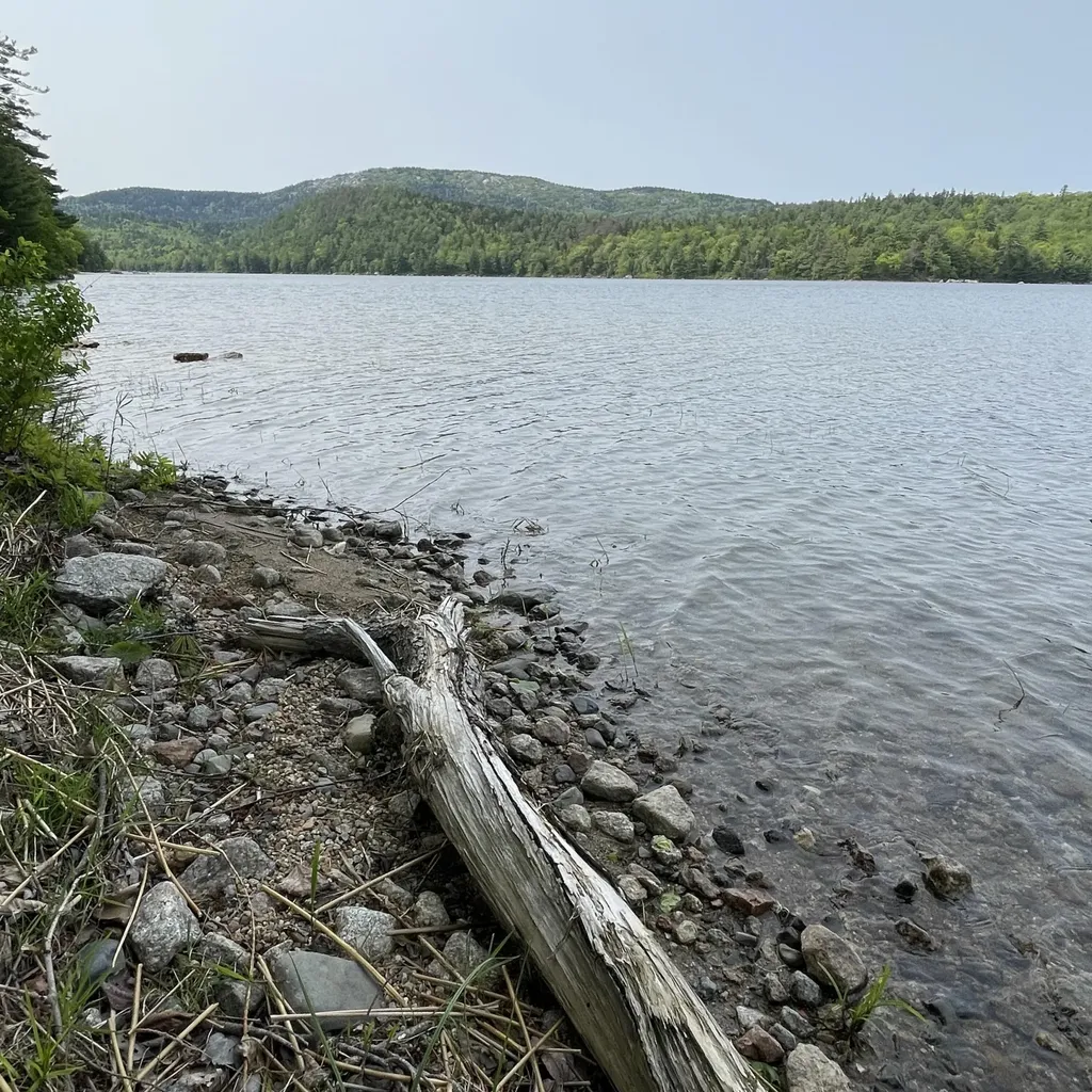 213 Spring River Lake T10 Sd ME 04622