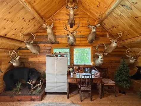 14 Peaceful Lane Lakeville ME 04487