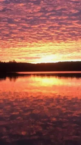 14 Peaceful Lane Lakeville ME 04487