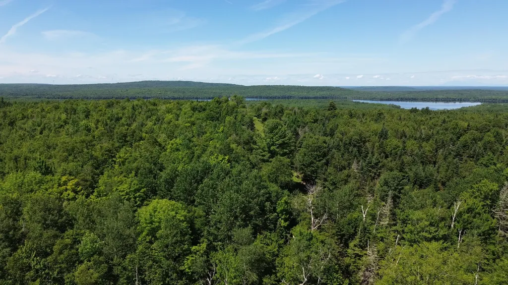 178 Irish Settlement Road Danforth ME 04424